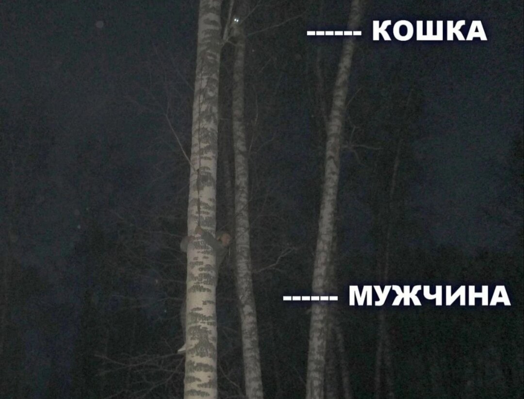 Спасатели сняли с березы мужчину, пытавшегося спасти кота в Новосибирске
Накануне вечером новосибирские спасатели обнаружили интересную картину: в нескольких метрах от земли, обняв дерево, висел мужчина. Оказалось, он потерпел неудачу в попытке спасти застрявшую на том же дереве кошку. И человека, и кошку освободили.
26 октября около 18 часов в дежурную часть МАСС поступила информация, что в парке имени Дзержинского в Новосибирске на дереве, обхватив ствол руками, висит мужчина. На разведку информации выехал экипаж спасателей. В парке спасатели обнаружили молодого человека, который повис на березе в трех метрах от земли, вцепившись в ствол руками.Спасатели приставили к дереву раздвижную лестницу и спустили пленника березы.
Молодой человек 2002 года рождения рассказал, что на березу он полез, чтобы спасти с веток дерева кошку, но не добрался до нее и застрял сам.За спасательной операцией кошка наблюдала с высоты еще метра на три выше от того места, куда смог добраться мужчина.В итоге спасатели освободили и ее.