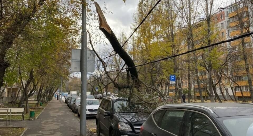     "ВКонтакте"