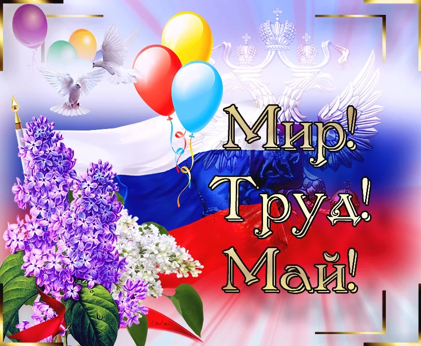Фото из интернета
