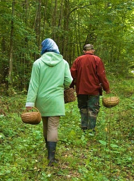 фото из свободных источников