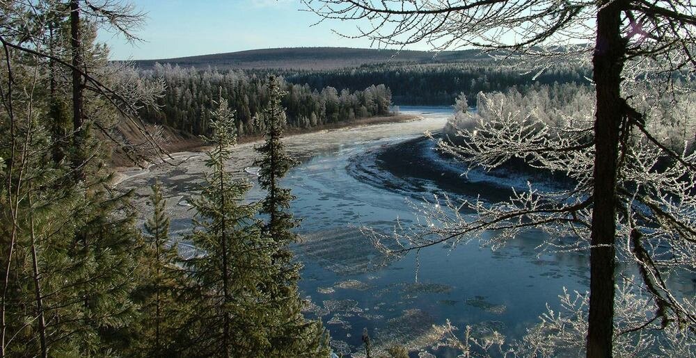 Пейзаж заказника