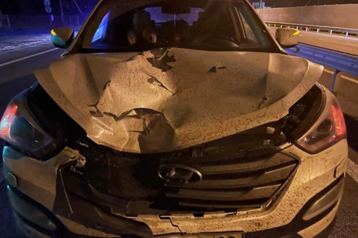    За выходные в Тюменской области в ДТП погибли два человека