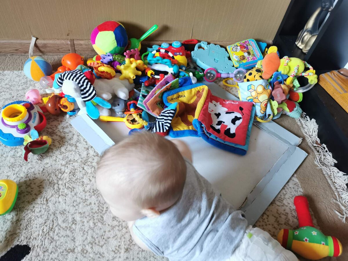 У Максика глаза разбегаются от изобилия