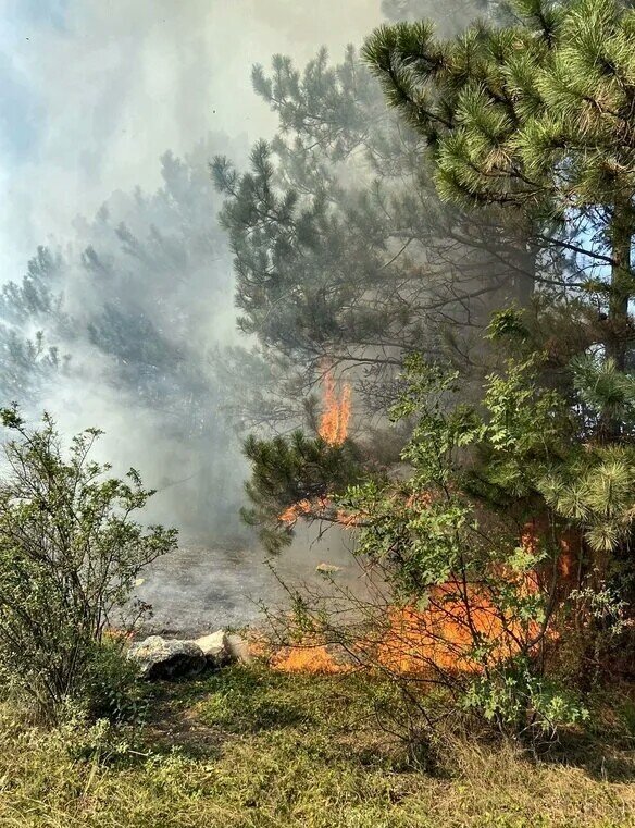 Лесной пожар.