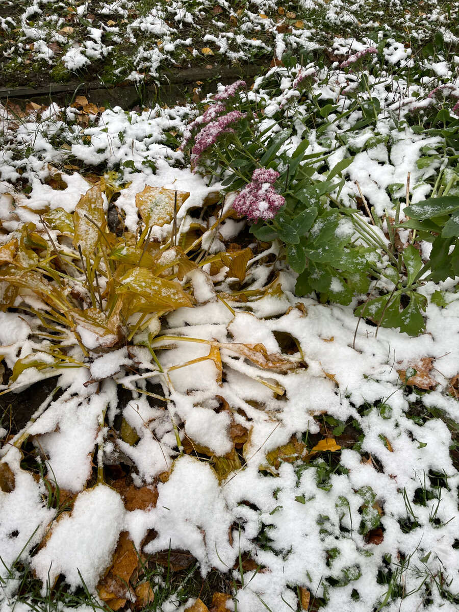 Фото автора канала NikI Photostory 