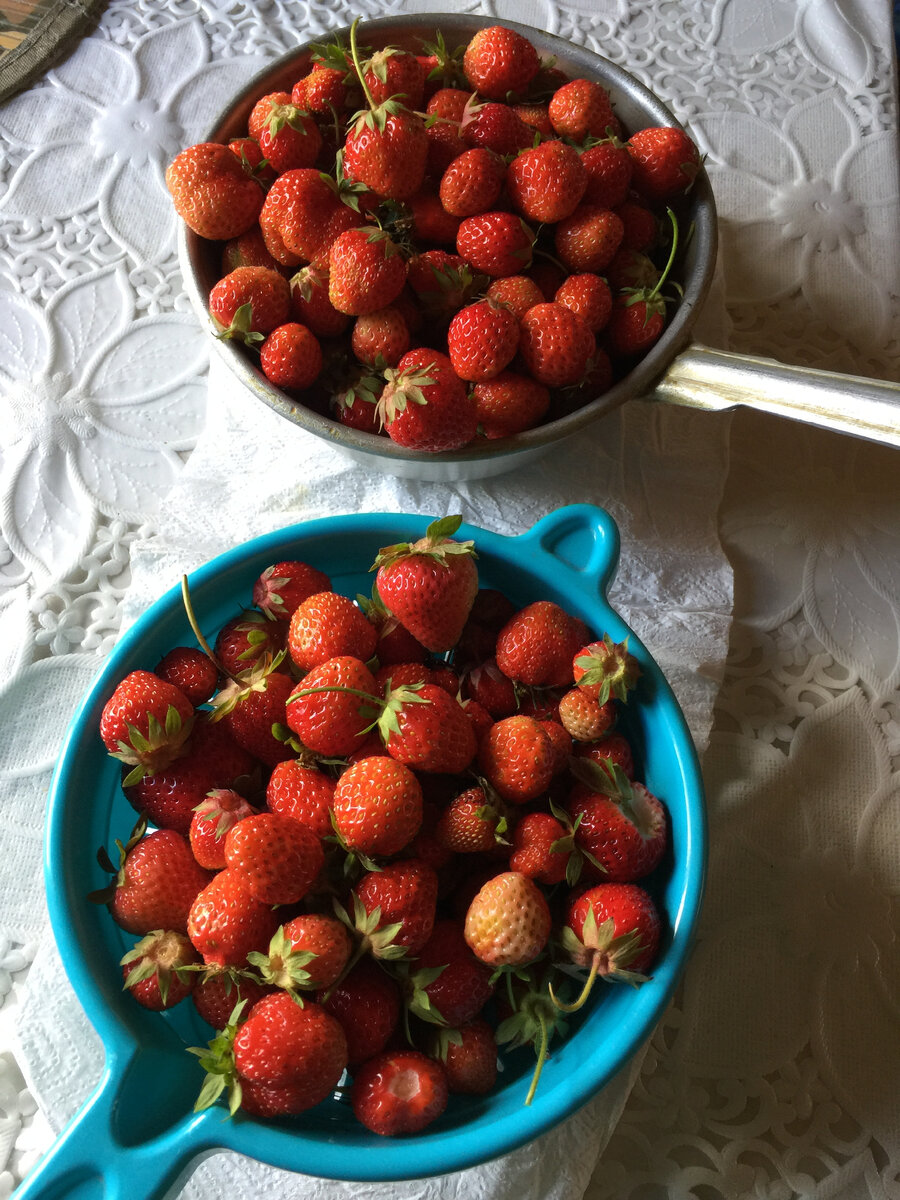 Не очень крупная, но вкусная.