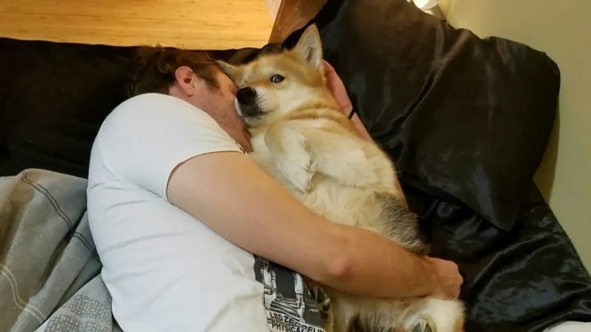 Па-ма-ги-те! Фото: reddit.com