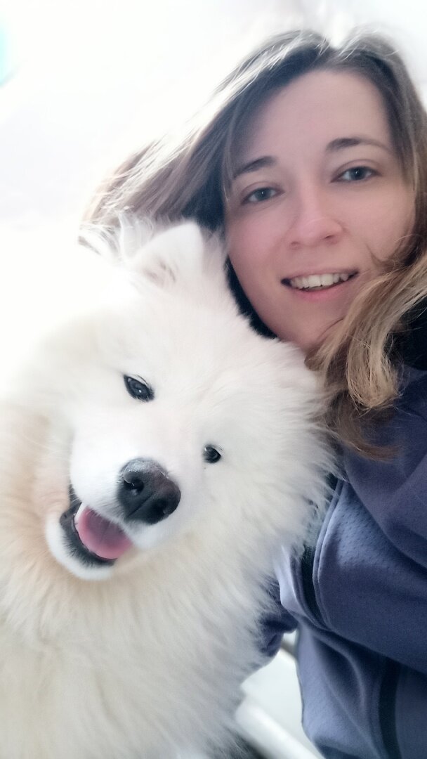 админ Юлия Шигаева и собака кинолога-инструктора Дог-центра Юлии Дружковой самоед Чандра. Просто обнимашки на работе 💞