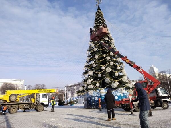 елка у града воронеж 2022. елка в воронеже 2021 на площади. воронежская площадь ленина елка 2023. елка воронеж 2022 на площади. елка воронеж.