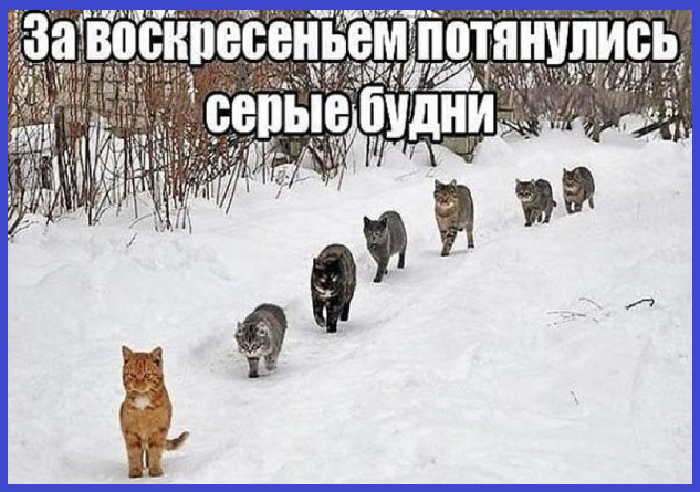 Просто Анекдоты. Про наше любимое Кино