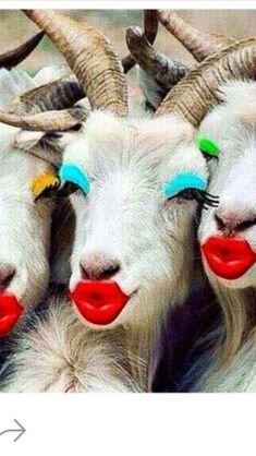  Вопрос психологу: 