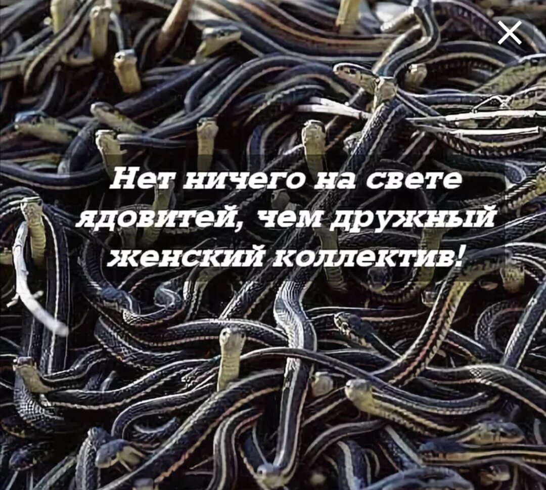 фото с яндекс картинки