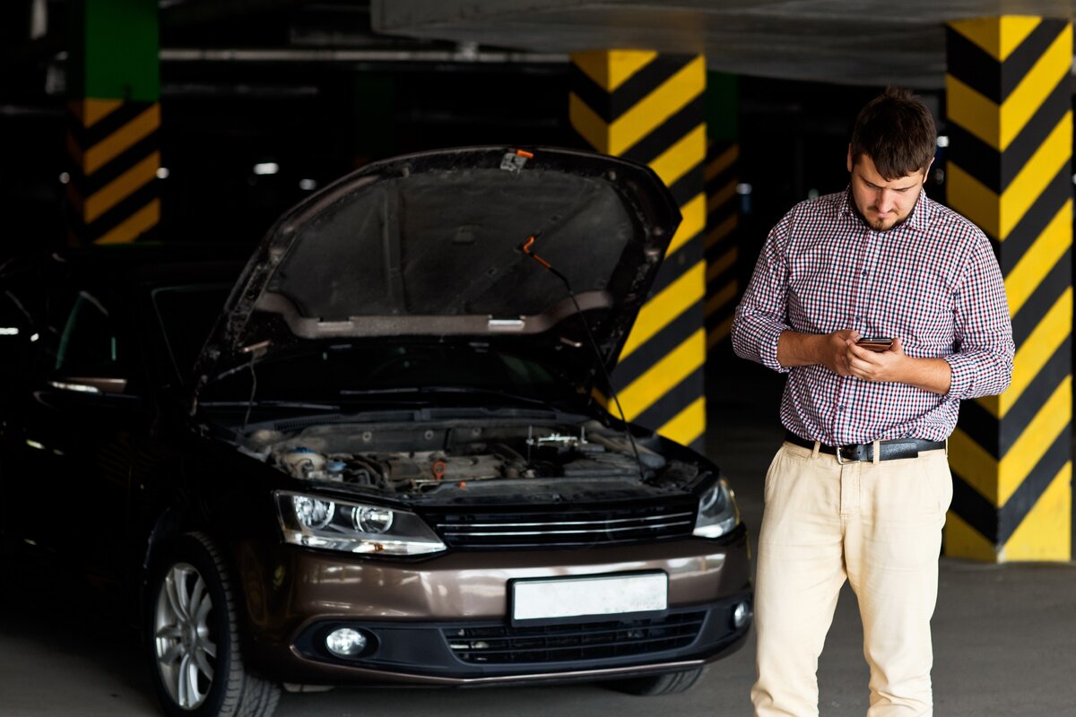 Цена на осаго.