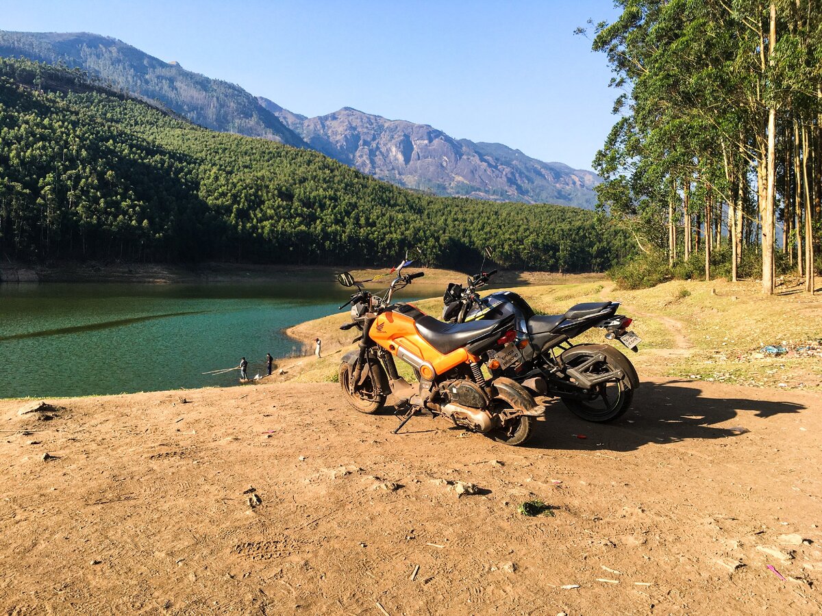 Наши железные кони