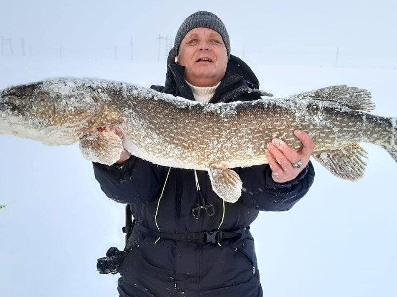 Фото https://www.instagram.com/p/CK1U7UQBvSc/