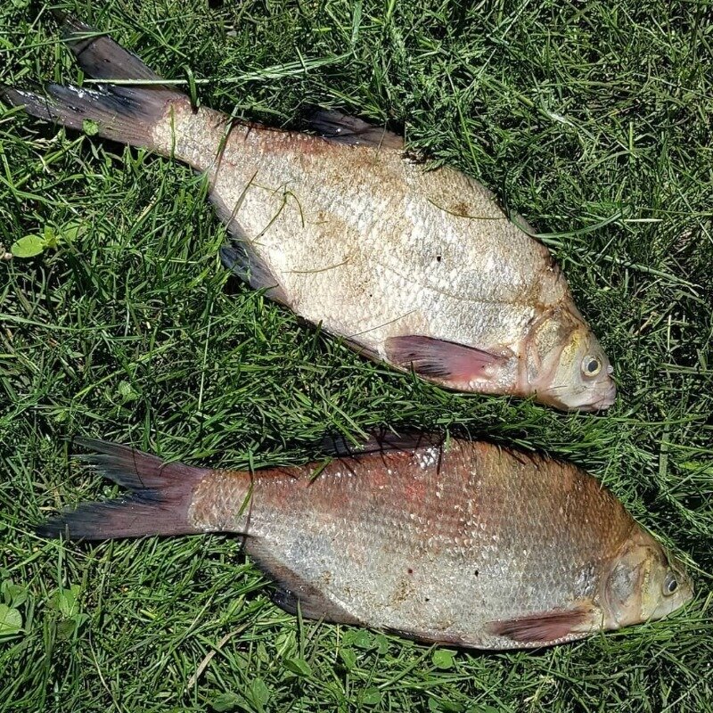 Фото https://www.instagram.com/p/CA2-Gbpn7_v/