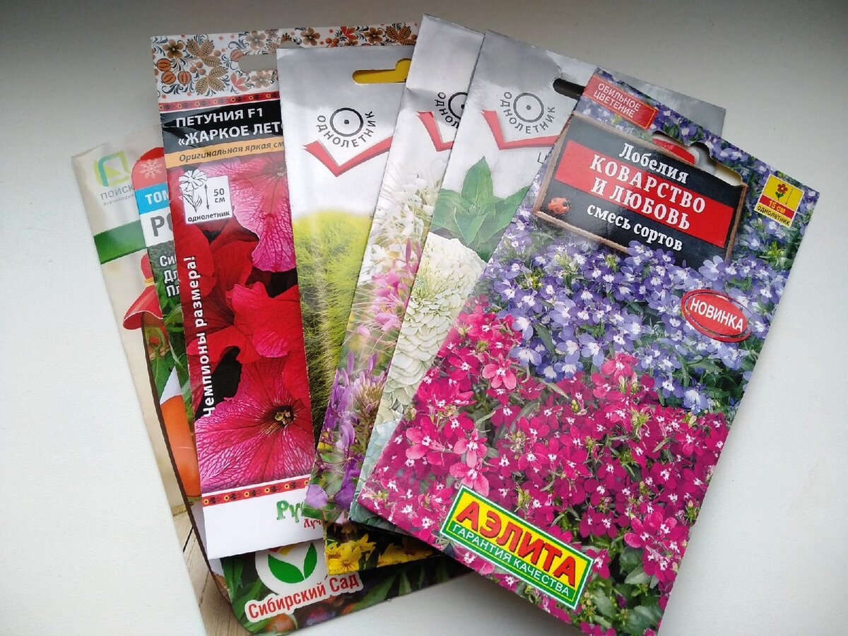 Семена разных фирм. Покупала я