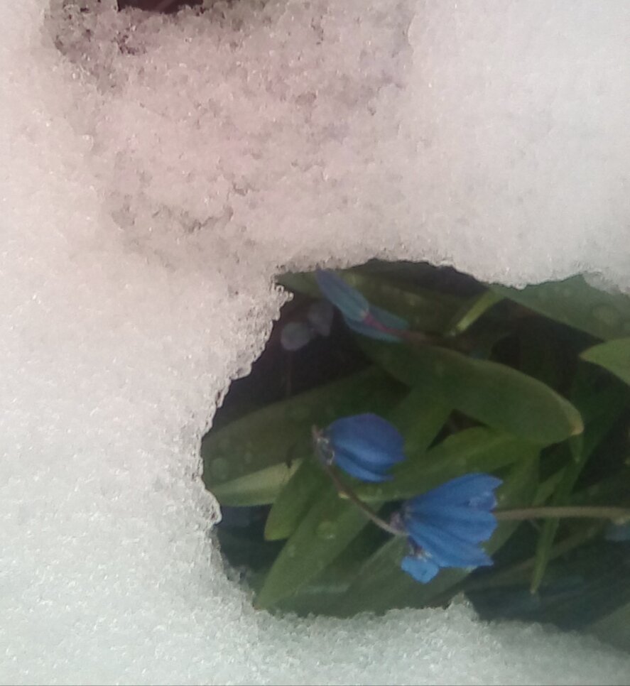 Вот так же живые чувства  детей покрываются коркой безразличия. 