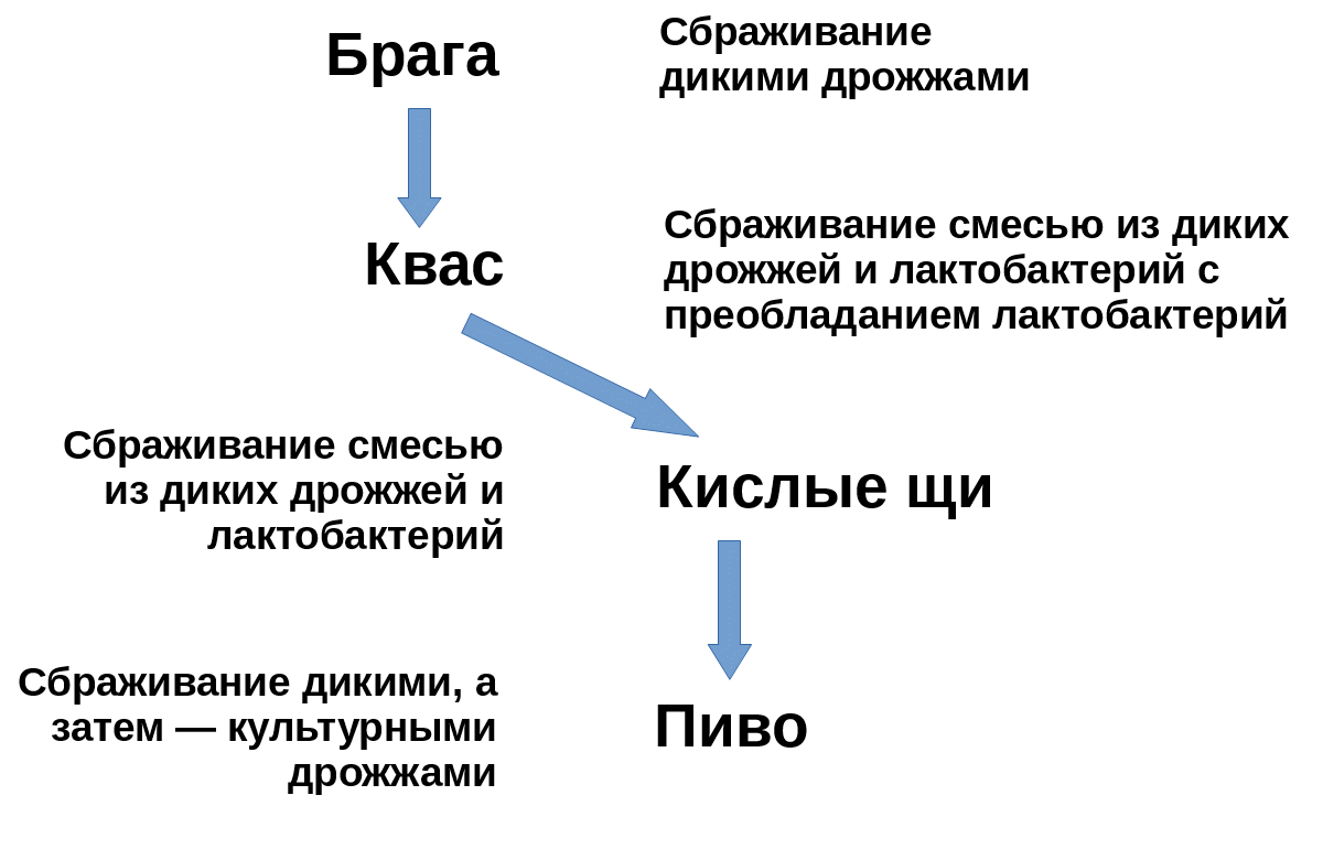 Пиво, квас, кислы щи и скандинавская мифология | История, кино и пиво | Дзен