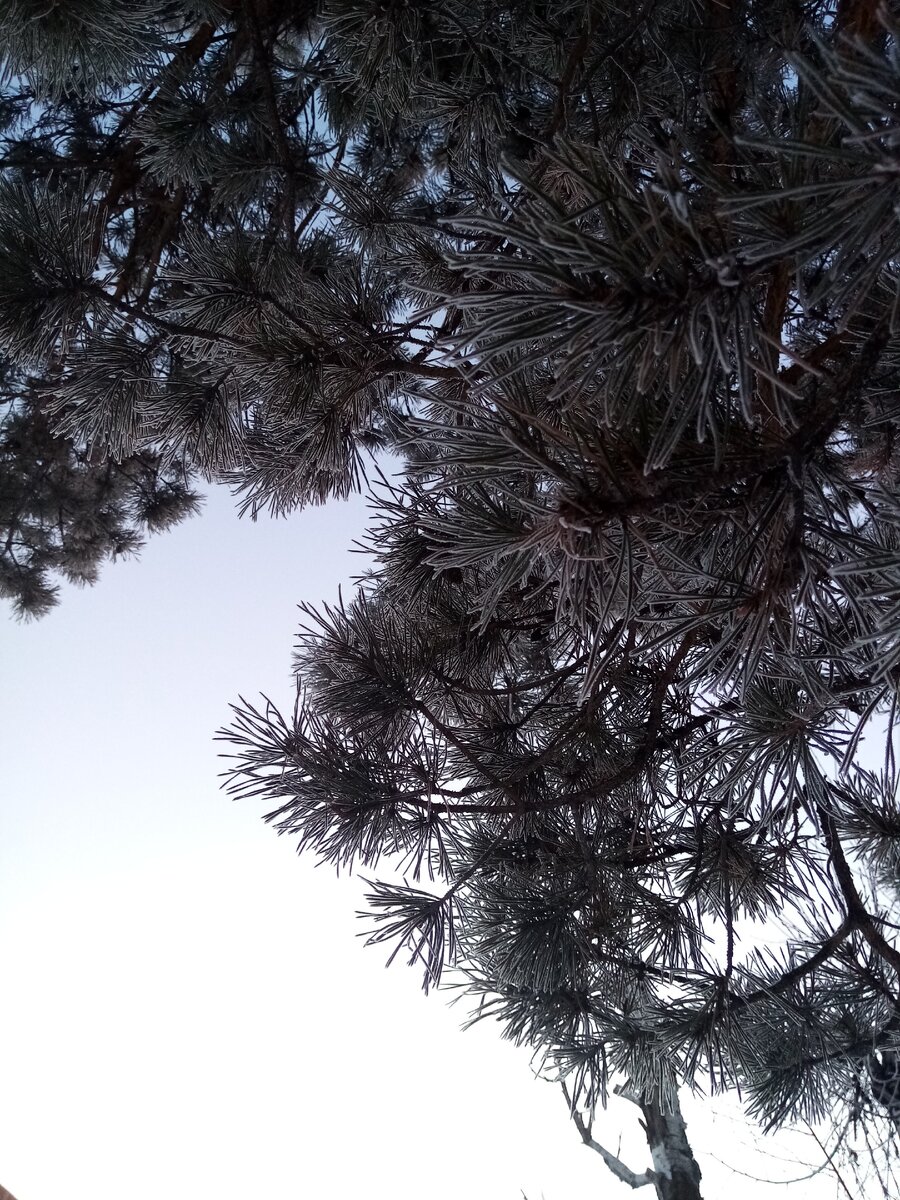 -23°С