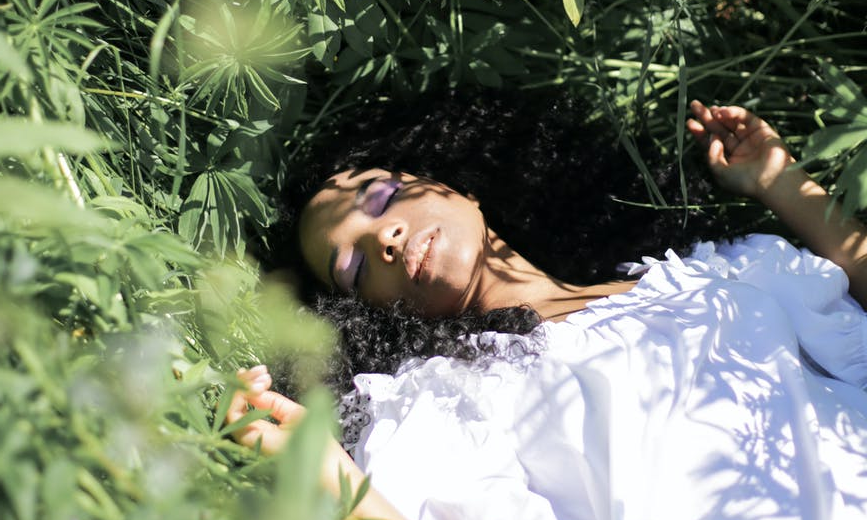 Изображение с сайта https://www.pexels.com/