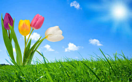 Картинки из интернета