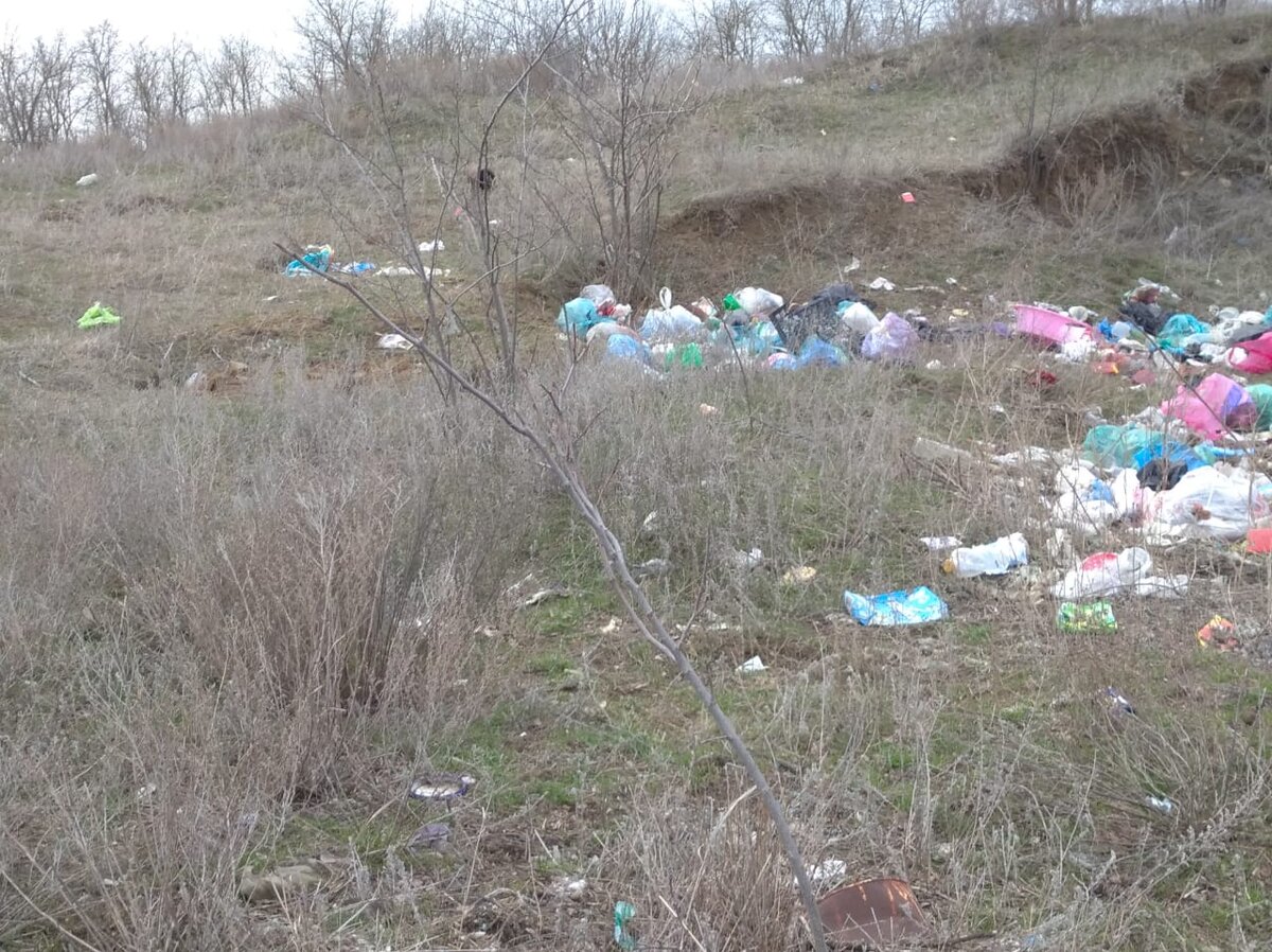 Не делайте так, люди! Фото Вероники Алекс 