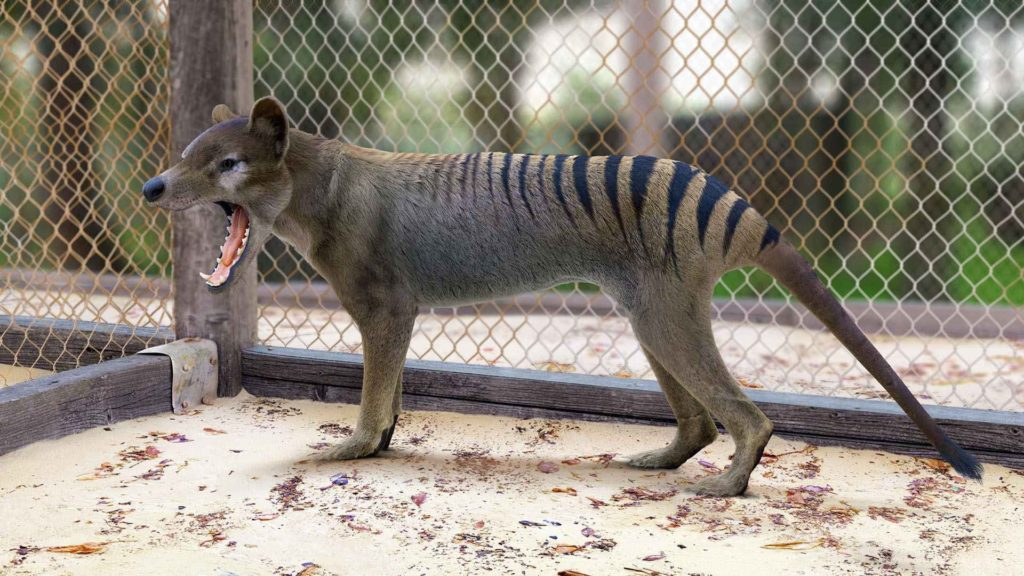 Источник фото: Яндекс 