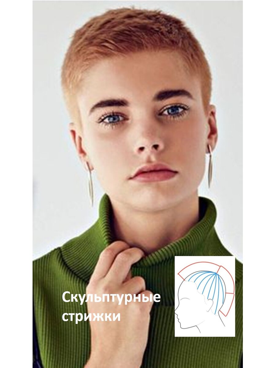 Скульптурная стрижка ( по форме головы)     (Фото из открытого источника)  