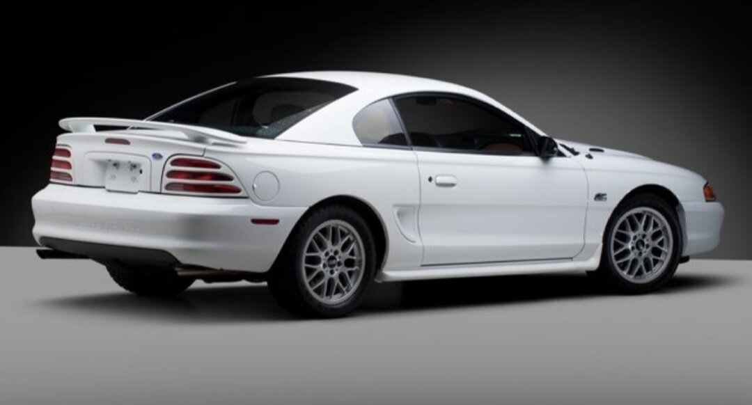 Здесь видны нетипичные для породы мустангов стопари.