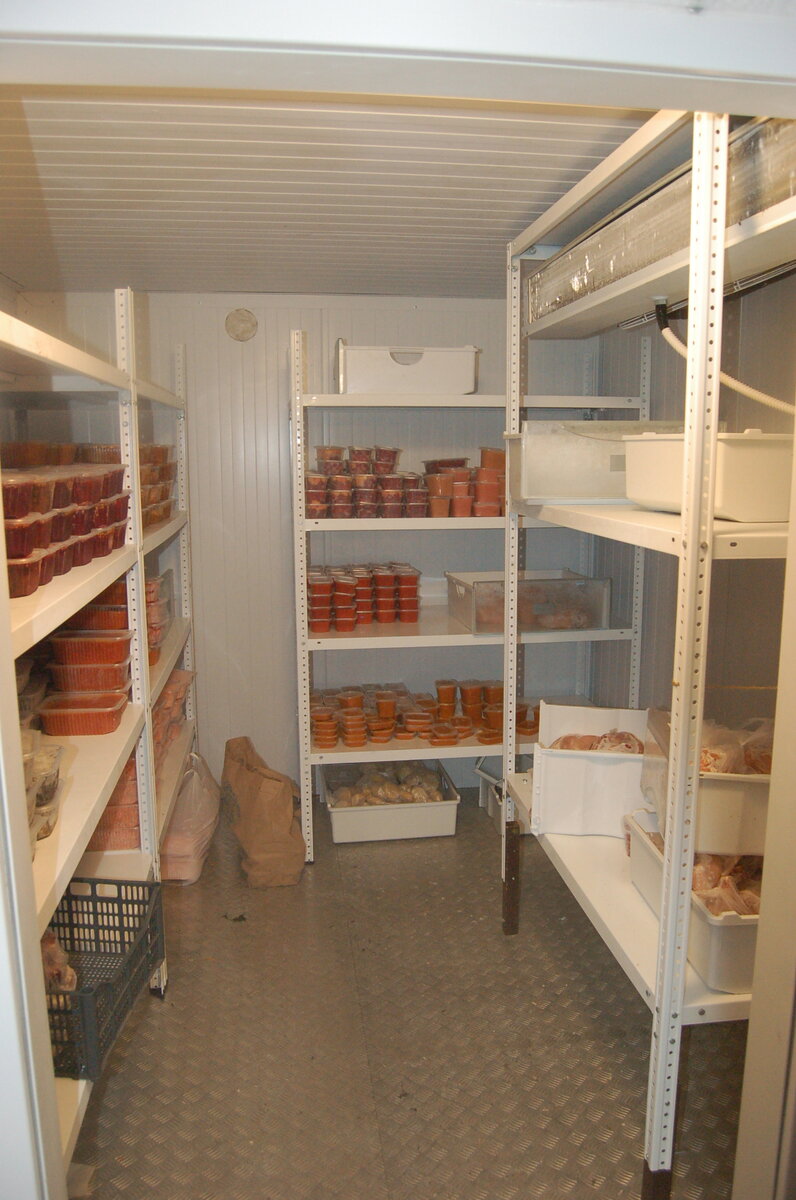 ЗОЖ-никовский морозильник