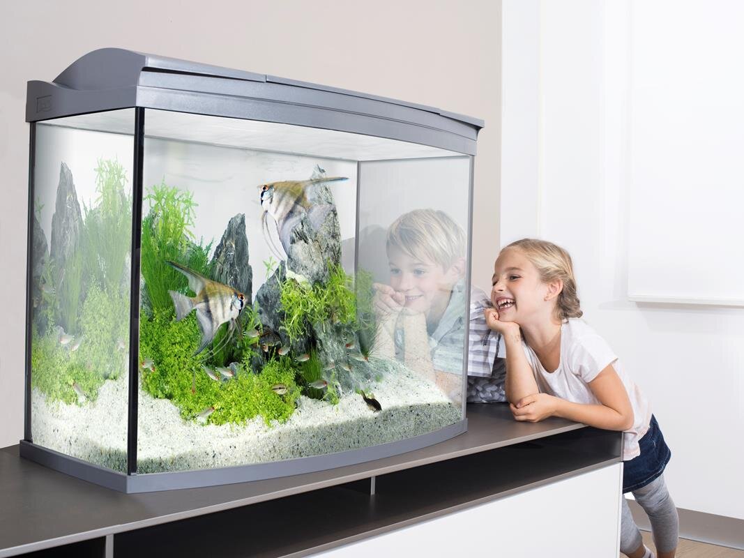 Aquarium 70x35x35