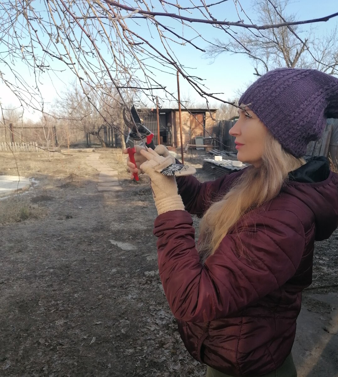 Работы в саду - все насмарку, если собака не умеет себя вести.  Фото автора.