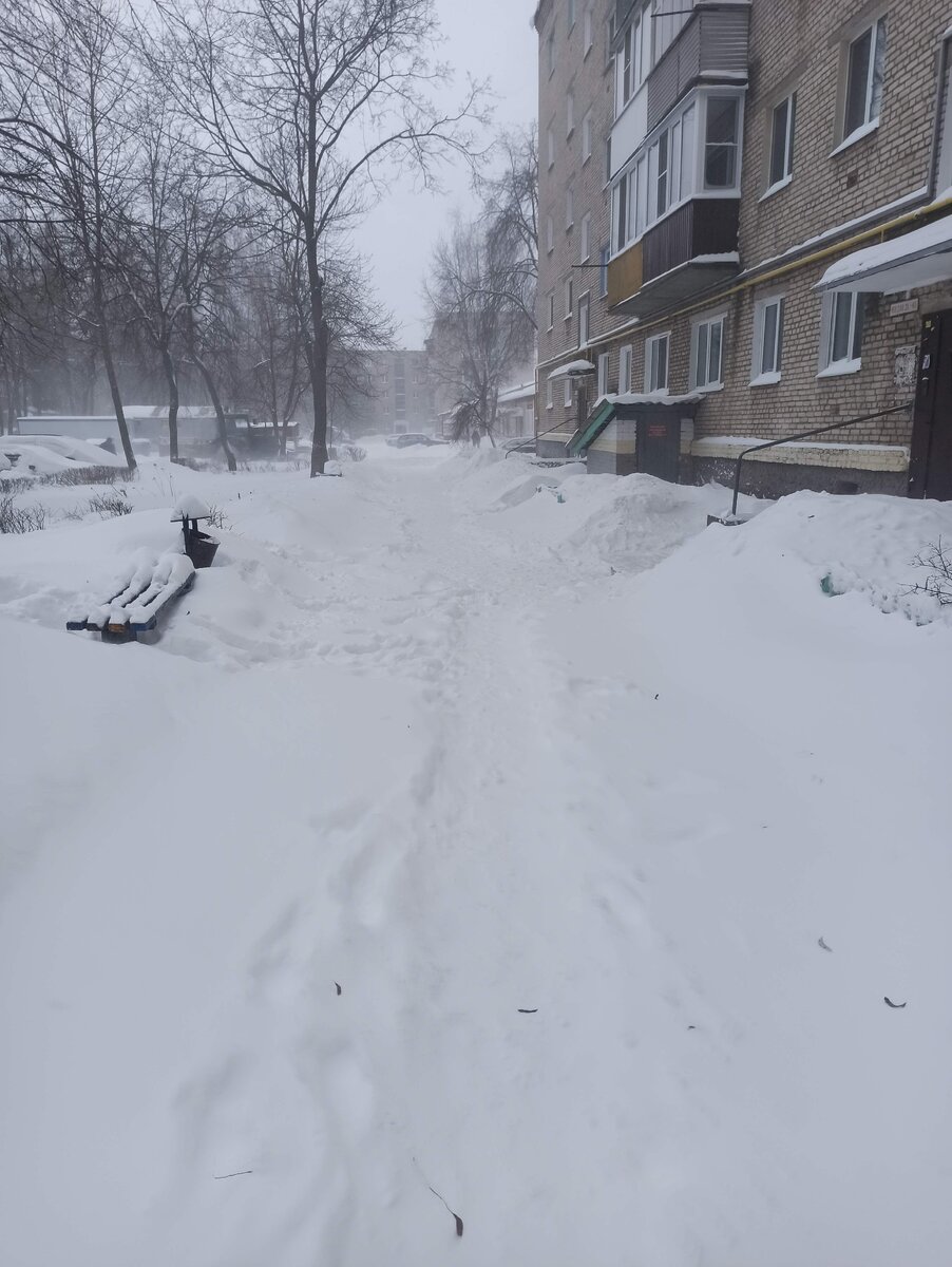 Замело
