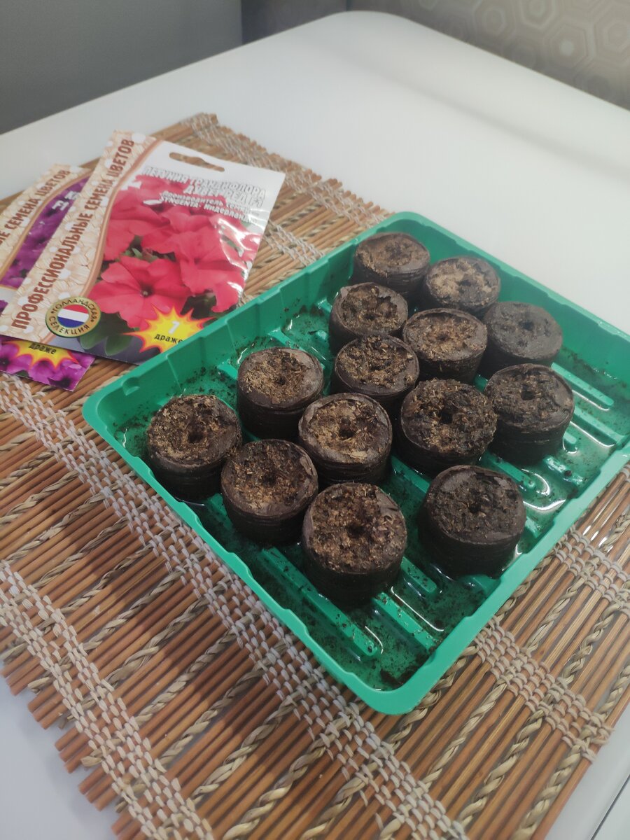 Торфяные таблетки начинают разбухать