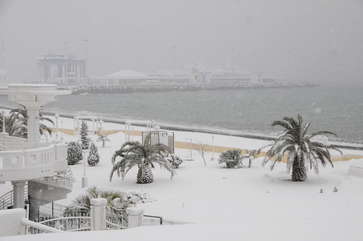 Фото: Станислав Павлов