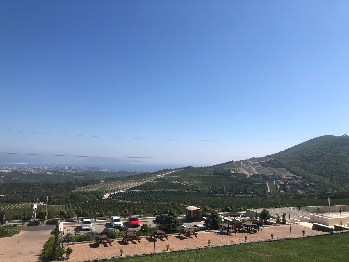 Вид на виноградники под Новороссийском