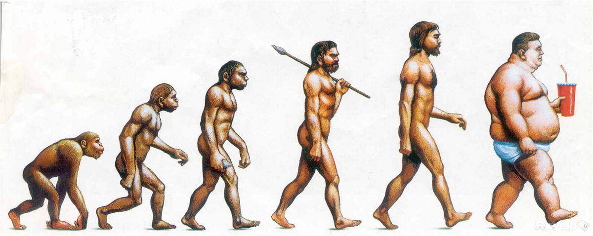 Современные продукты плохо сказываются на популяции Homo Sapiens
