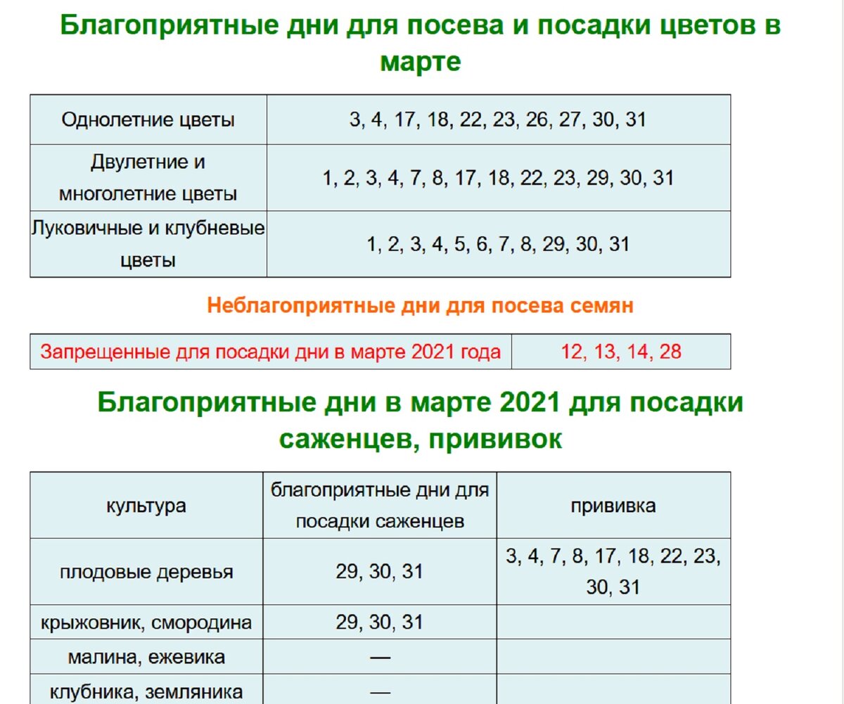 Лунный посевной календарь садоводов и огородников на март 2021 года. |  Дачные советы | Дзен