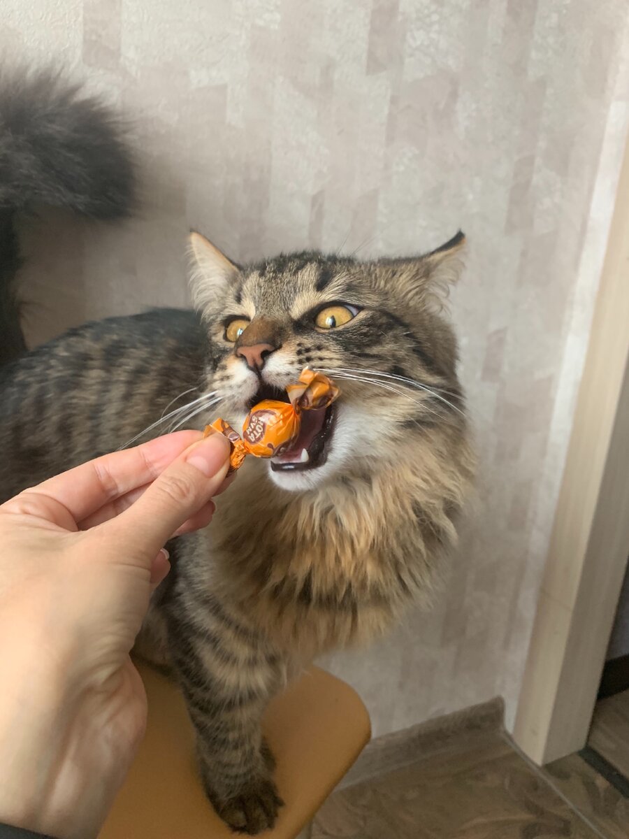 авторское фото