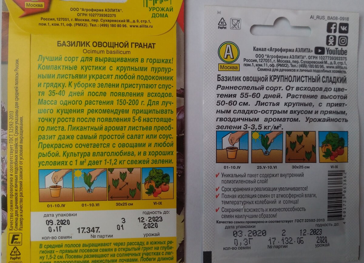 Мои базилики 2021.