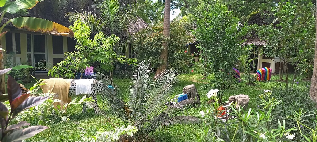 Наши бунгала, вещи на просушке).