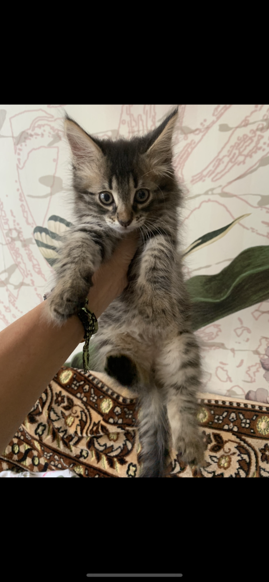 авторское фото