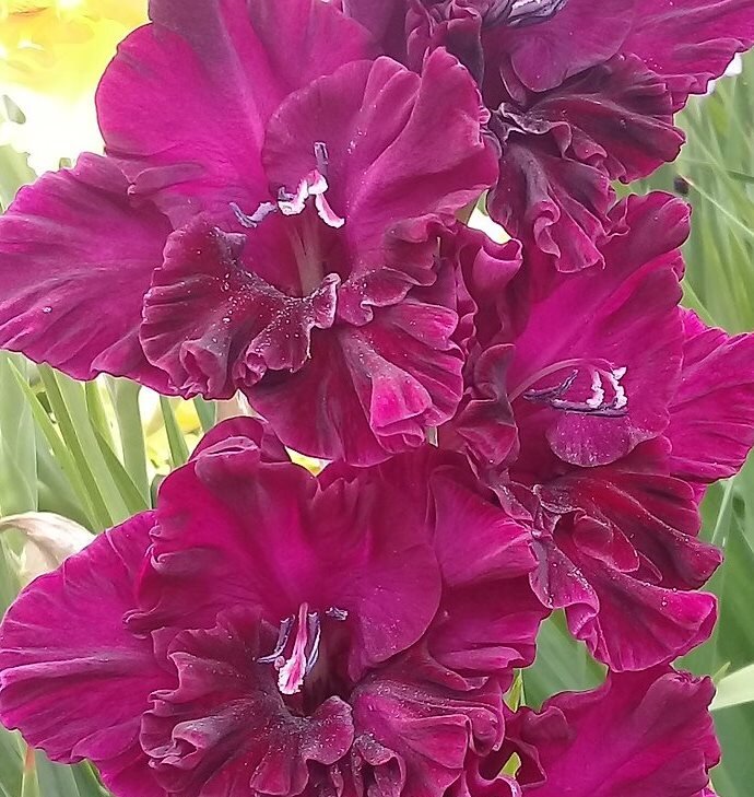 Источник изображения - Яндекс.Картинки, использовано для иллюстрации материала