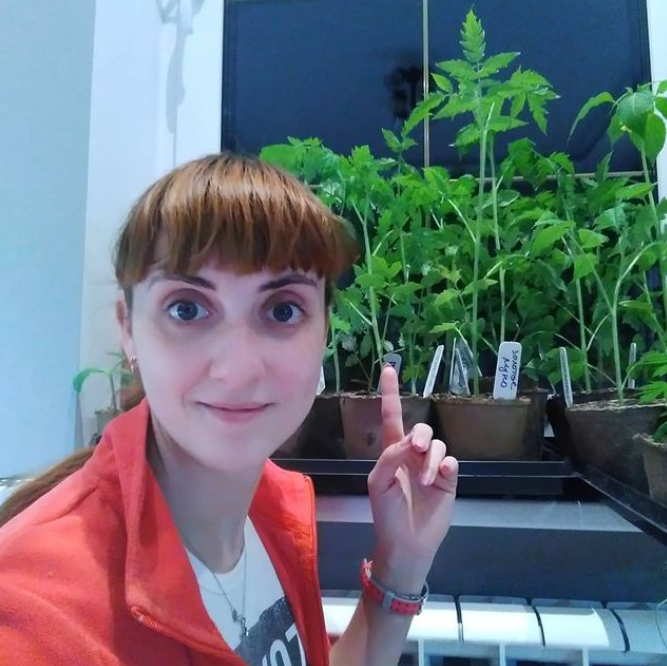 Рассада томатов, весна 2020