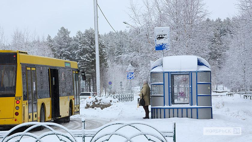 Автобусы г ноябрьск. Автобус Ноябрьск. Общественный транспорт Ноябрьска. Остановки общественного транспорта Ноябрьска. Остановки Ноябрьск автобусные.