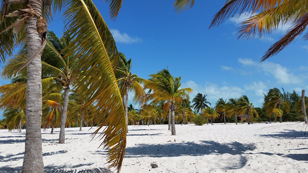 фото из личного архива