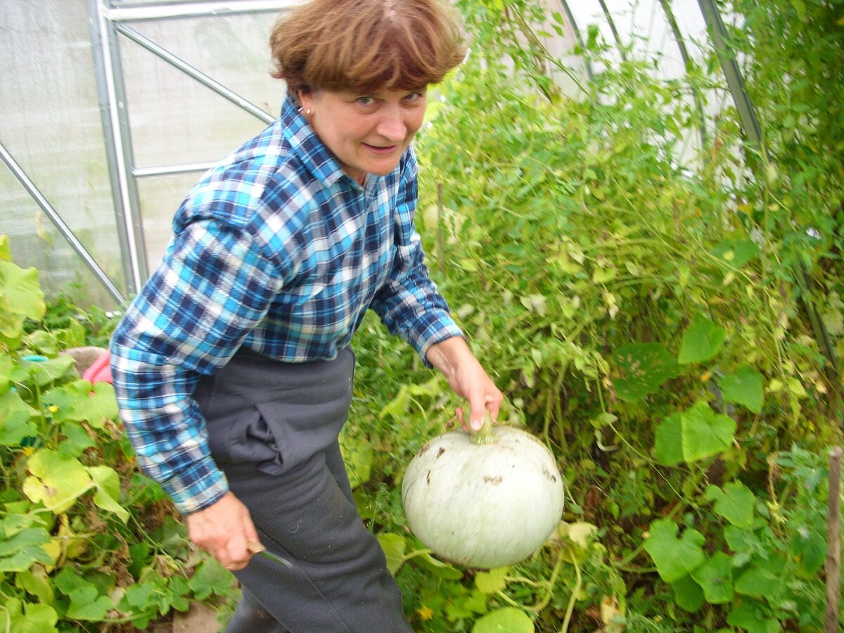 Моя жена Нина