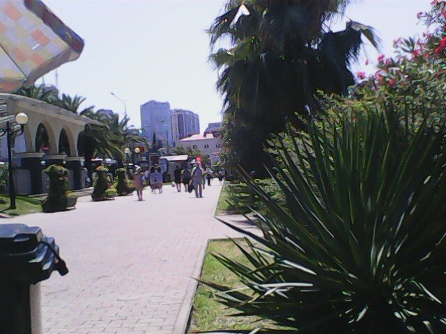 Напротив Ж/д вокзала, г. Сочи