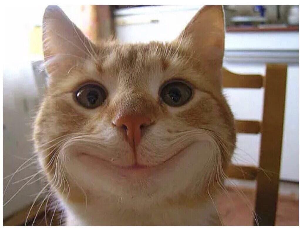 Придумайте подпись.